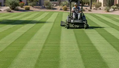 Commercial mower creating precise lawn stripes during professional mowing service in Scottsdale, AZ